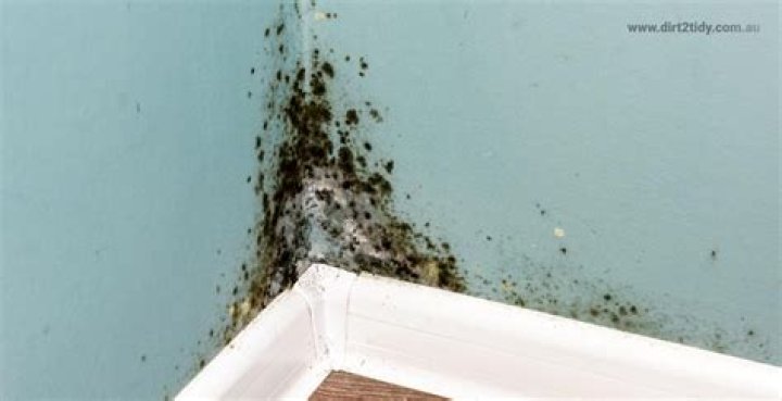 Can Breathing Drywall Dust Make You Sick