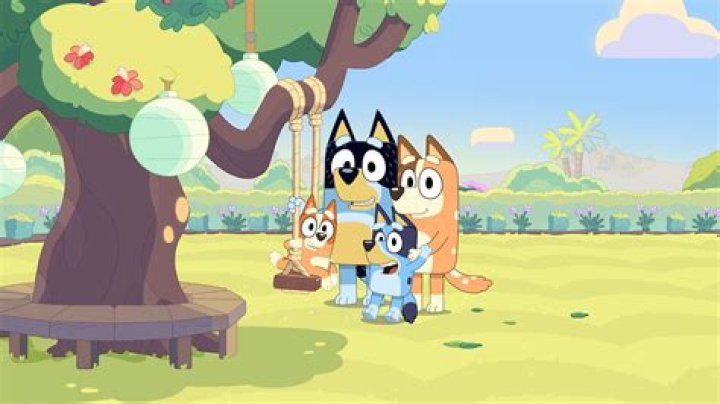 Understanding Canines: Can Dogs See The Colours In Bluey?