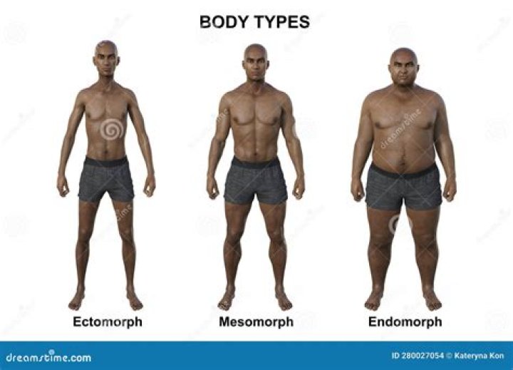 Can Endomorphs Skinny - Seniorcare2