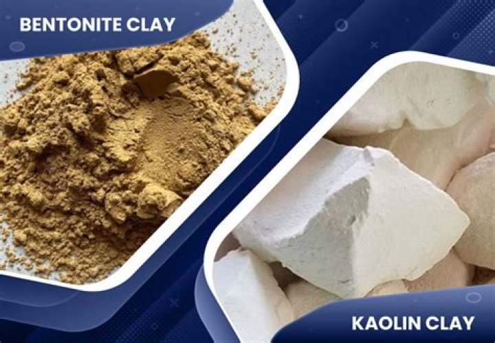 Quick Answer: Can I Substitute Bentonite Clay For Kaolin Clay