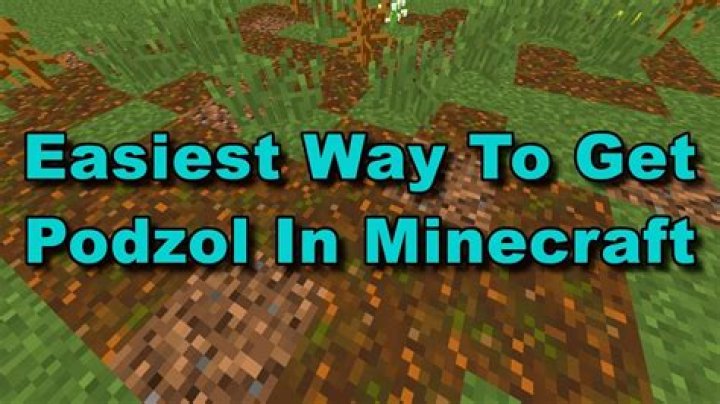 Can You Craft Podzol - Seniorcare2