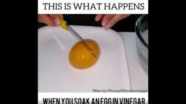 Can You Eat An Egg Soaked In Vinegar