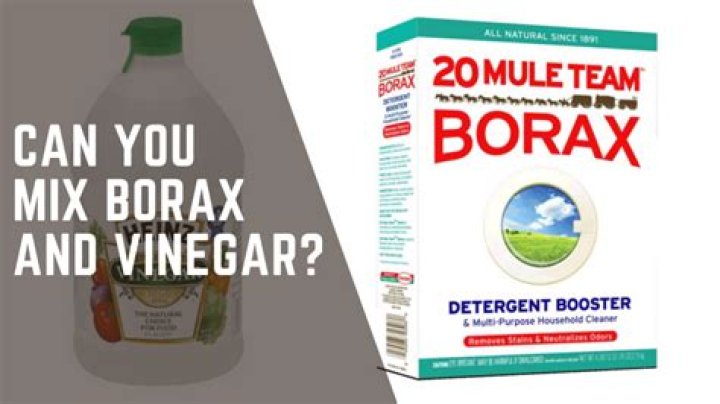 Question: Can You Mix Borax And Vinegar