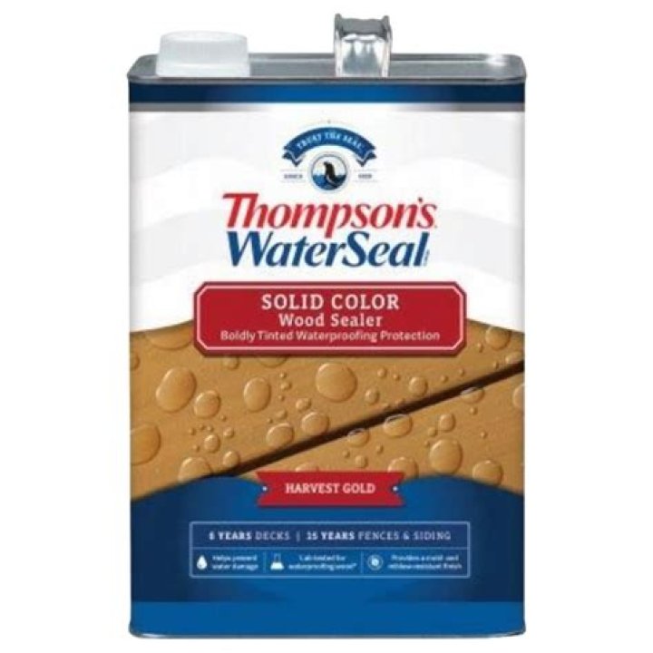 Question: Can You Paint Over Thompsons Water Sealer