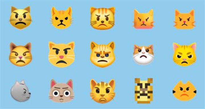 Why Do Cats Pout? Unraveling The Mystery Behind Cat Pouting