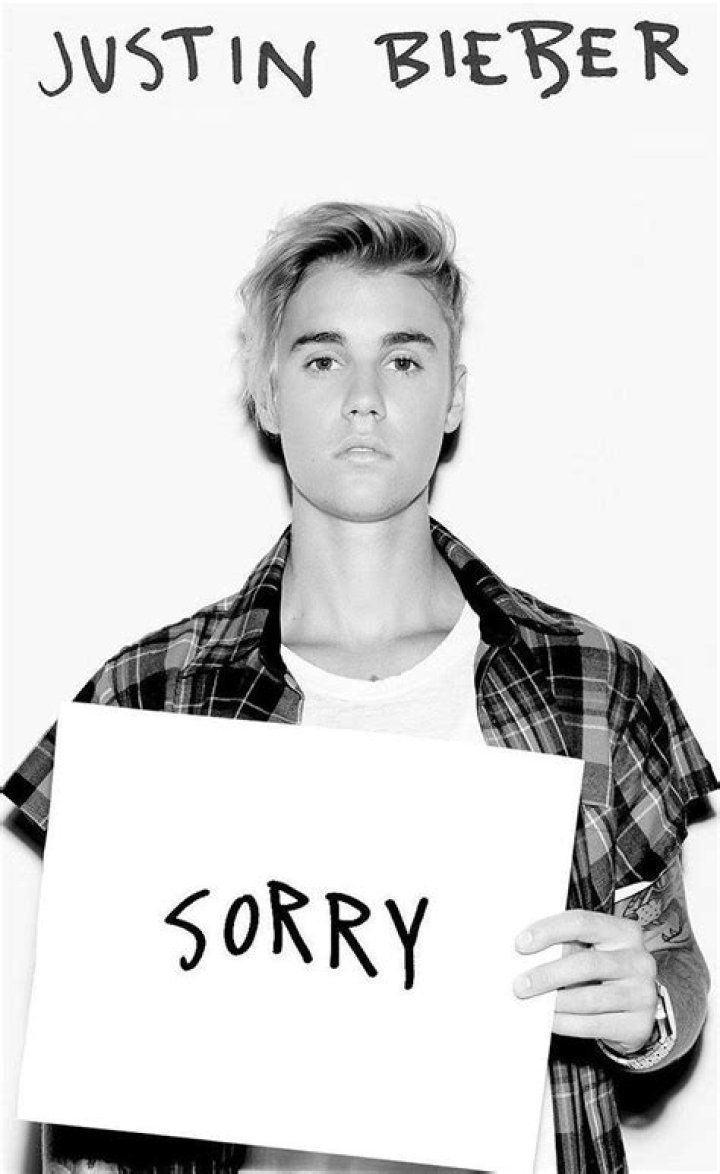 Celebrities reading Justin Bieber Sorry lyrics