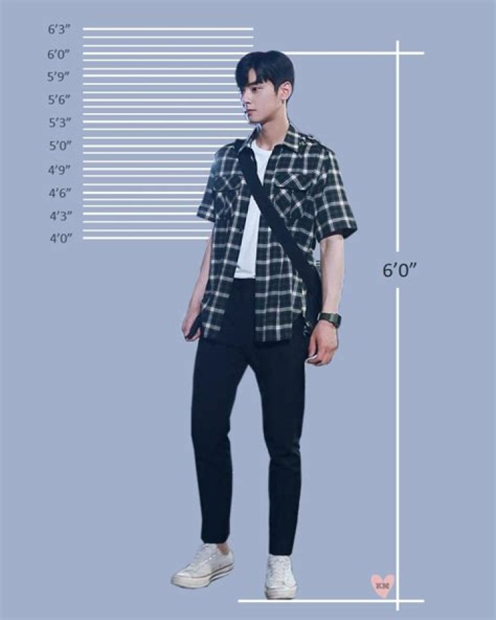 Cha Eun Woo Height: Discovering The Exact Measurements Of The Rising Star