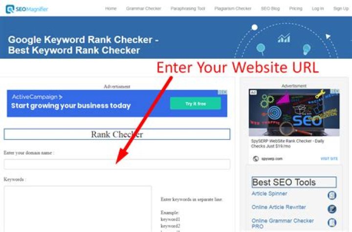 See Google Keyword Rank: An All-Inclusive Guide To Strengthen Your SEO Approach.