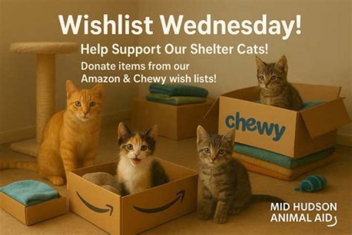 Chewy Launches Animal Shelter Wish Lists