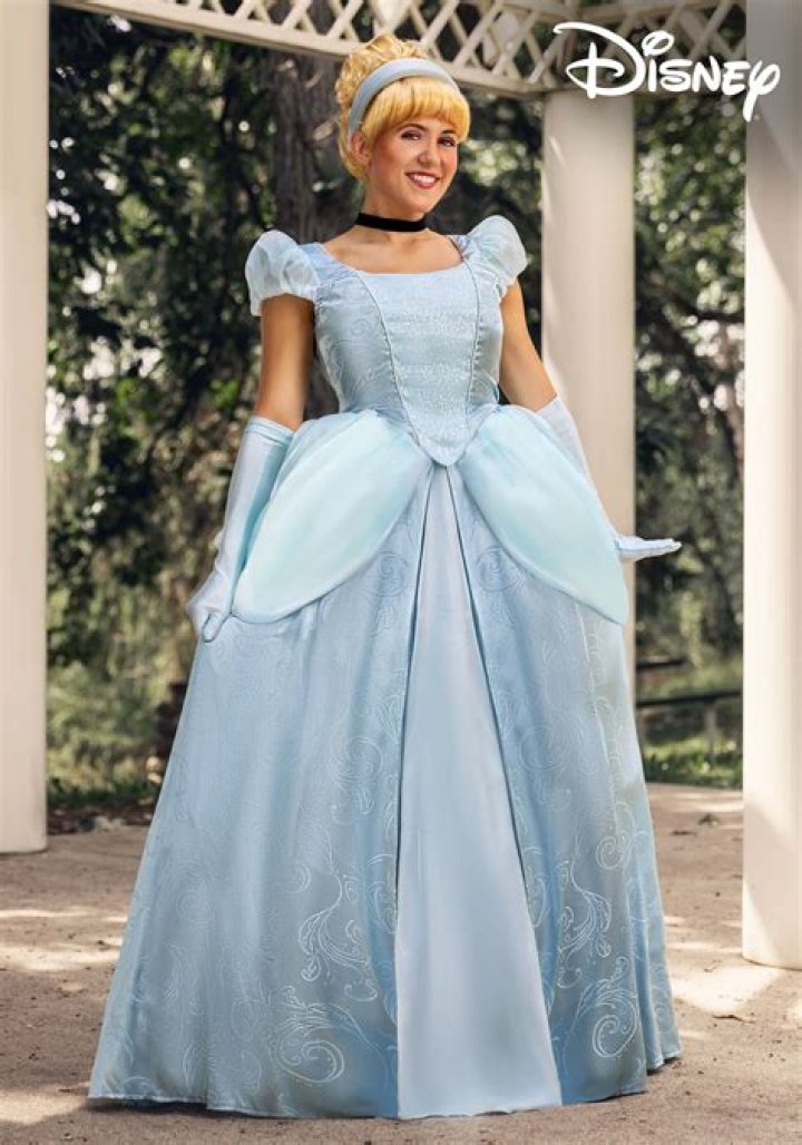 Enchanting Cinderella Dress Images: Capturing The Magic