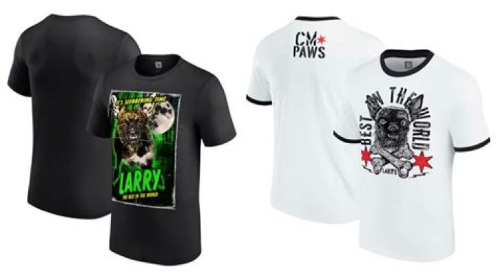 CM Punk’s New Merch Seemingly Takes Shot At Seth Rollins