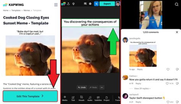 Comment Funny: The Art Of Witty Online Interactions