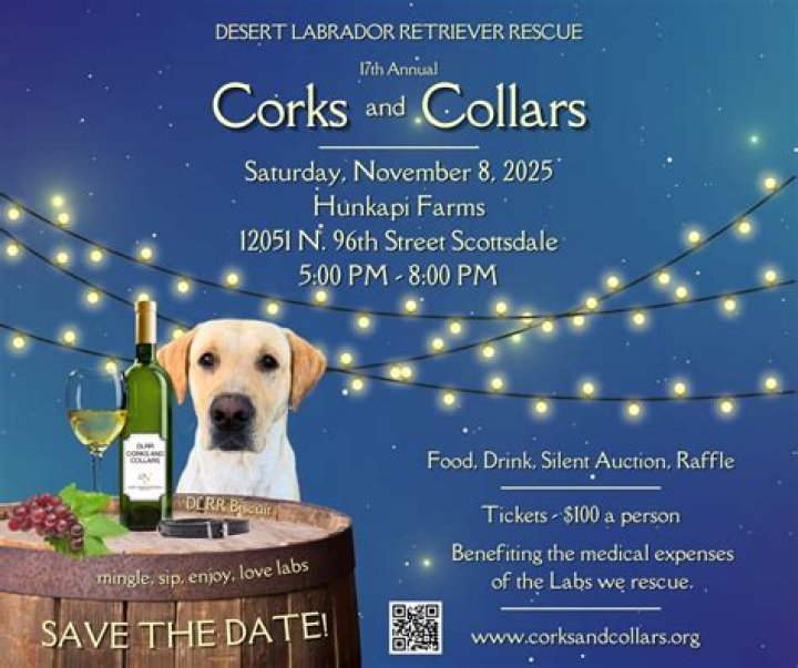 ‘Corks And Collars’
