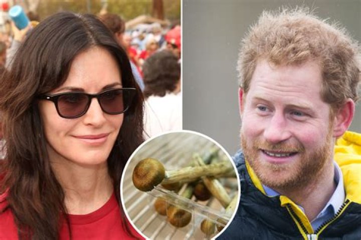 What Courteney Cox Said About Prince Harry and Magic Mushrooms