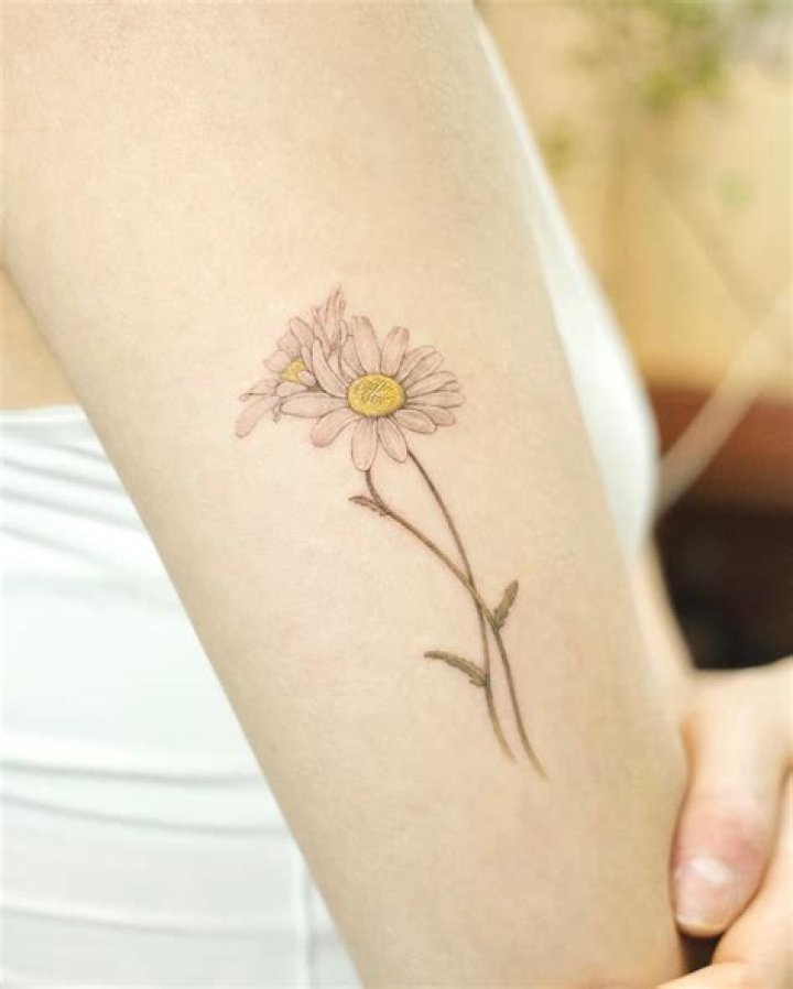 Daisy Tattoo: The Symbolism And Popularity Behind The Floral Ink