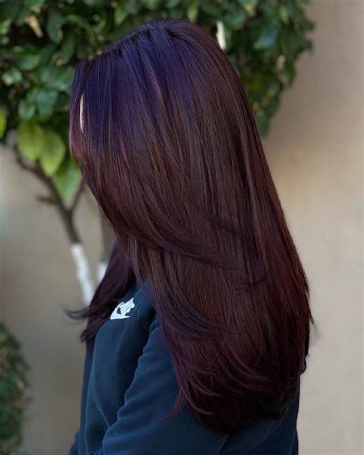 Embrace The Bold: The Allure Of Dark Cherry Hair Dye