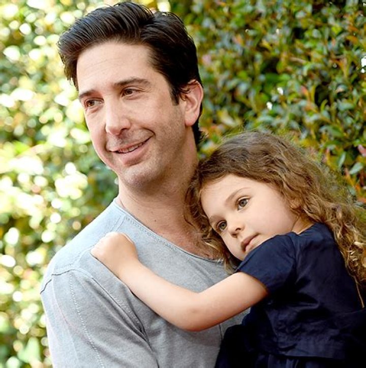 Discovering The Life Of David Schwimmer's Kid