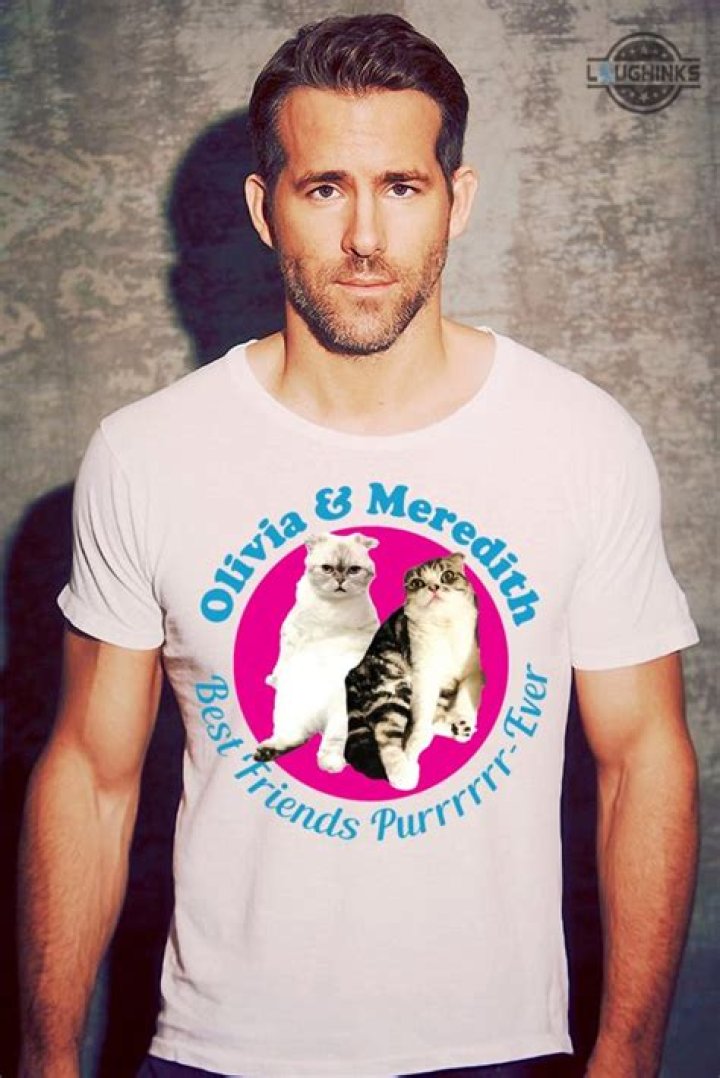 Deadpool, Taylor Swift, And Cats: The Purrfect Blend Of Pop Culture