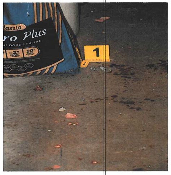 Dee Dee Blanchard Crime Scene Photos: Unraveling A Tragic Tale