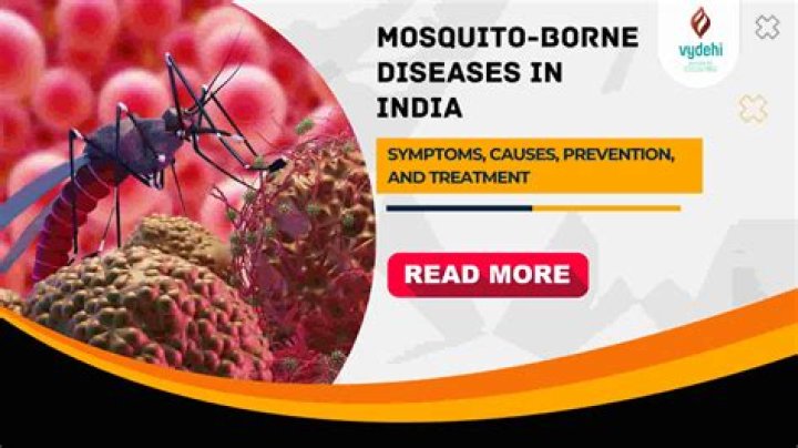 Dengue cases on rise in India; tips to protect yourself from the mosquito-borne disease – India TV