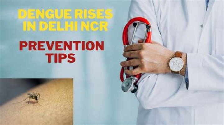 Dengue cases surge in Delhi NCR, prevention tips to follow – India TV