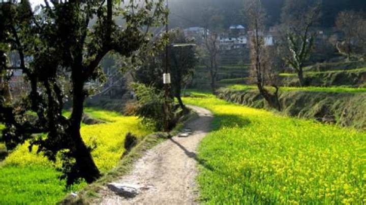 Dharamkot Pin Code | Postal Code (Zip Code) of Dharamkot, Moga, Punjab, India