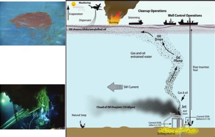 Understanding The Diagram Of Deepwater Horizon: A Comprehensive Overview
