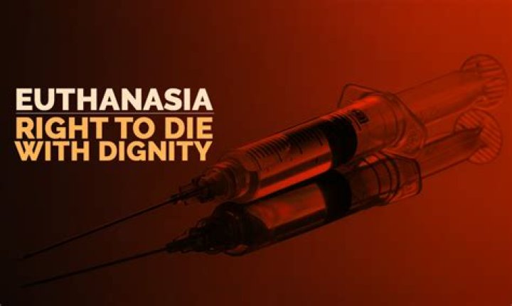 Did Jolanda Fun Go Through With Euthanasia? A Deep Dive Into Her Story