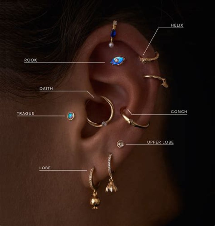 Exploring The Vibrant World Of Different Ear Piercings