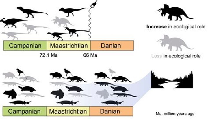 Feeling Your Age? Blame the Dinosaurs, Scientist Argues