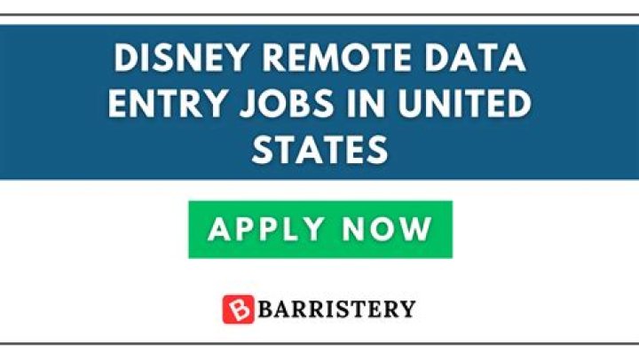 Unlocking The Magic Of Disney Remote Data Entry