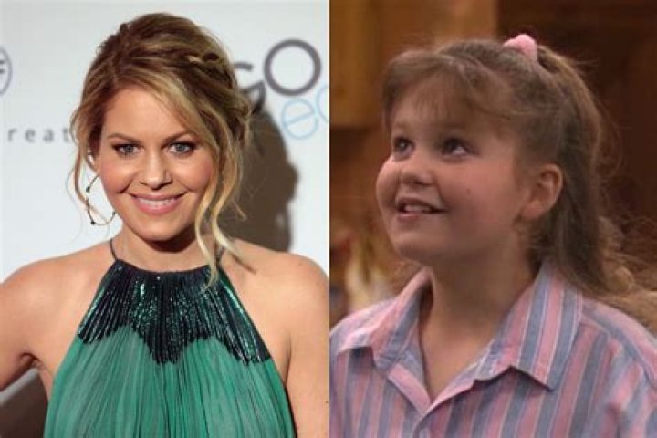DJ Tanner's Dream Wedding: A Fairytale Celebration