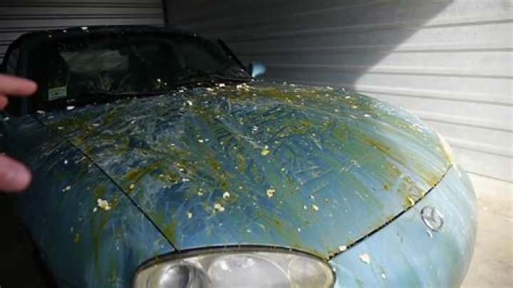 Quick Answer: Do Eggs Ruin Car Paint
