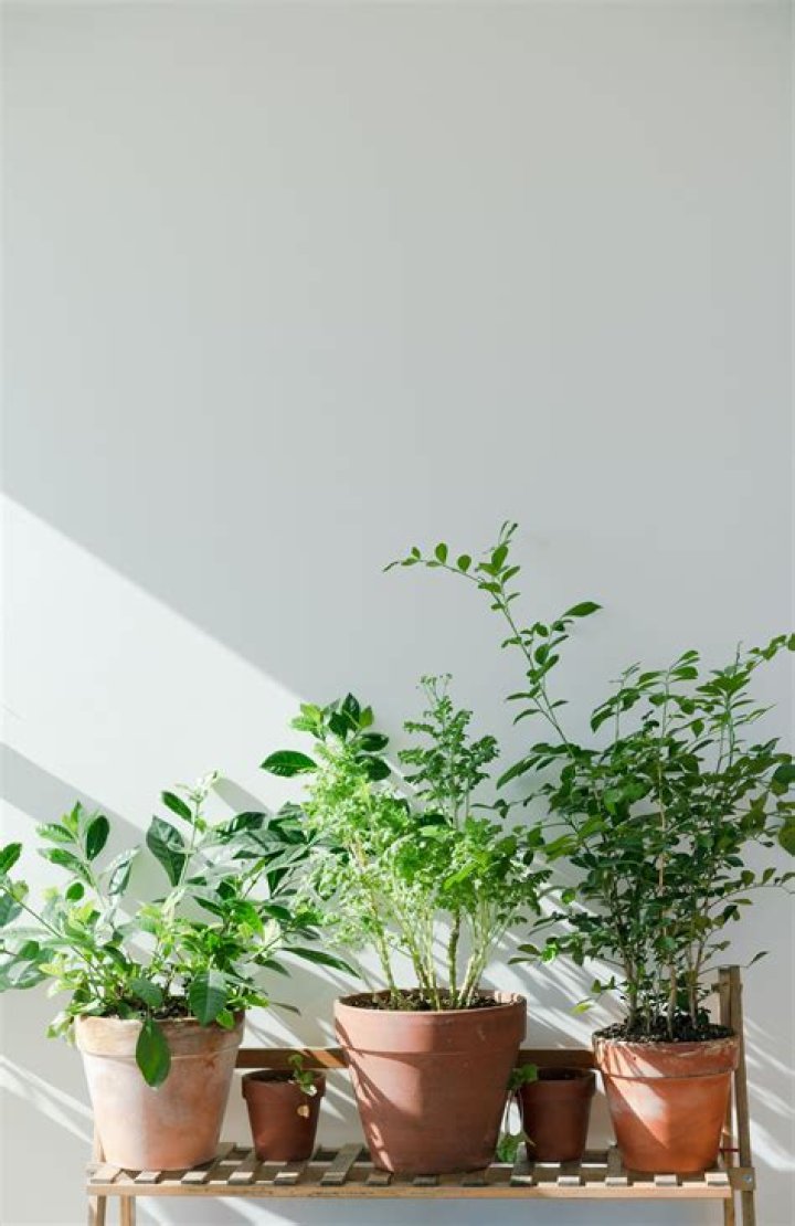 Quick Answer: Do You Need To Seal Clay Pots