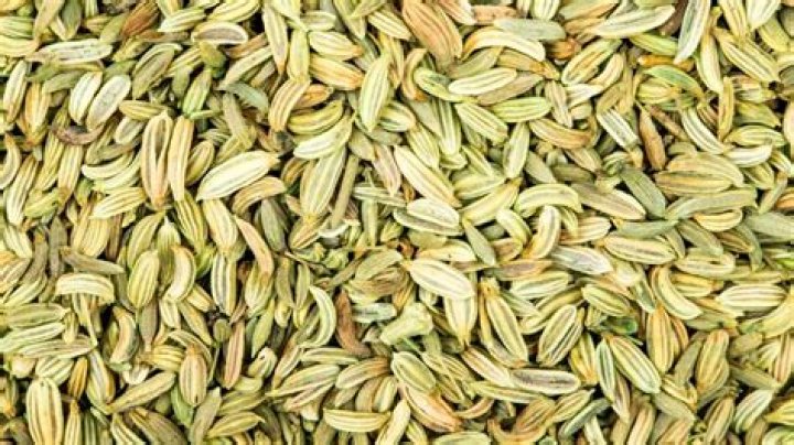 Does Fennel seeds improve eyesight? 5 things to know – India TV