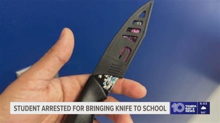 Dominik Mysterio Reveals Very Unique Punishment He Received For Bringing Knife To School