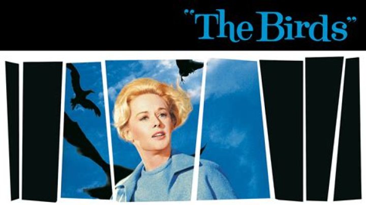 Doreen Lang: A Cinematic Journey Through Her Movies