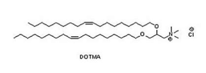 Dotma Pin Code | Postal Code (Zip Code) of Dotma, Kokrajhar, Assam, India