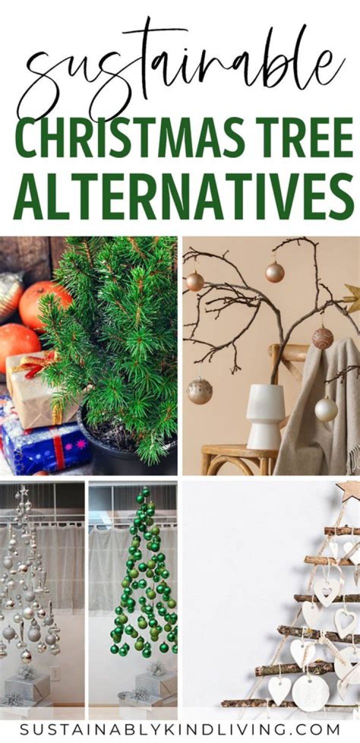 Environmentally Friendly Alternatives To A Christmas Tree