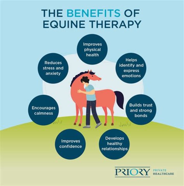 How Equine Therapy Helped Me Regain Inner Peace