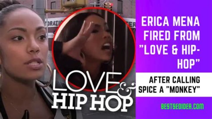 Exploring The Controversy: Erica Mena Called Spice A Monkey