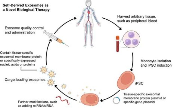 Exosome Therapy Is Dermatologists' New Favourite Skin-Rejuvenation Treatment