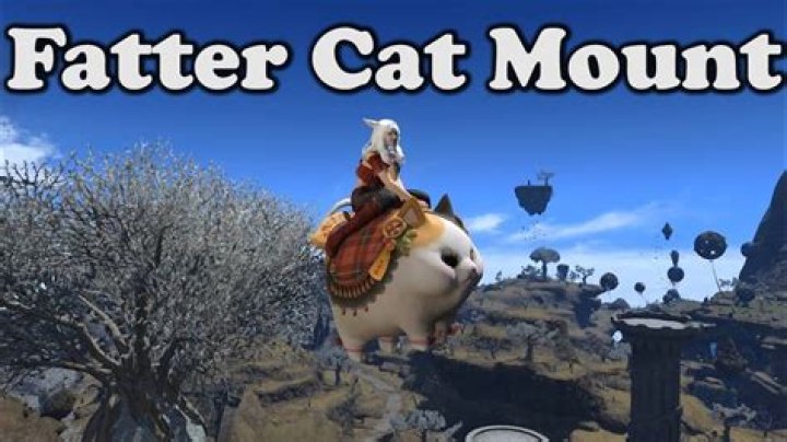 The Fascinating World Of Fatter Cats: Understanding Their Behavior, Health, And Care