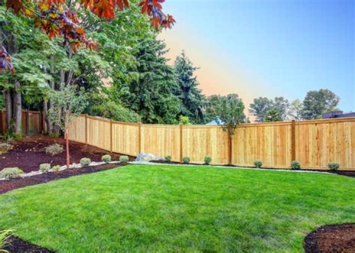 Fences - Paste Magazine