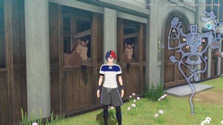 Fire Emblem Engage: Should You Gift Horse Manure?