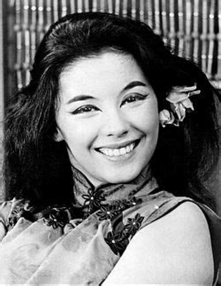 Unveiling The Journey Of France Nguyen Van-Nga
