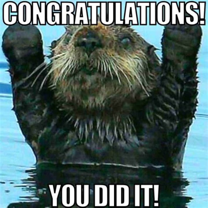 Funny Congrats Meme: A Hilarious Way To Celebrate Achievements