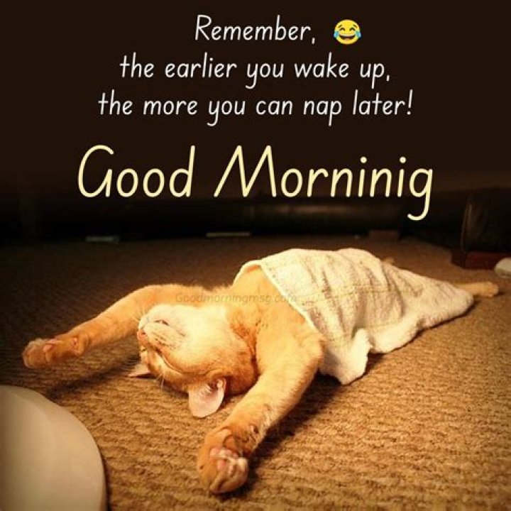 Start Your Day With Laughter: The World Of Funny Good Morning Memes
