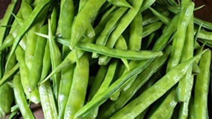 5 health benefits of Rajasthan's magical vegetable – India TV