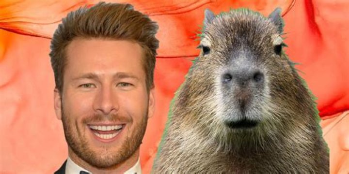 Exploring The Hilarity Of The Glenn Powell Meme Phenomenon